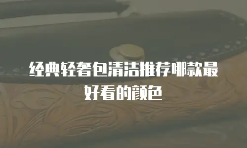 经典轻奢包清洁推荐哪款最好看的颜色