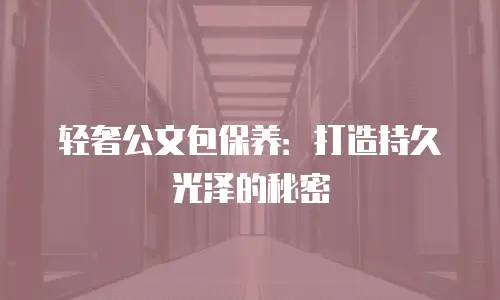 轻奢公文包保养：打造持久光泽的秘密
