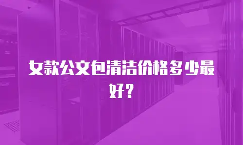 女款公文包清洁价格多少最好？