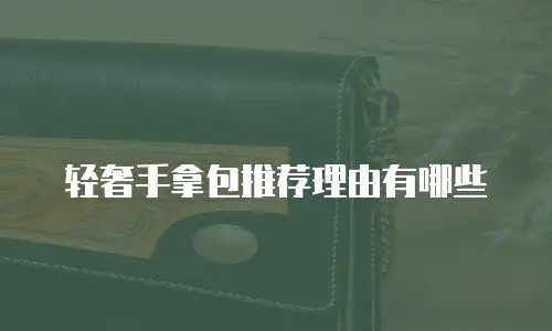 轻奢手拿包推荐理由有哪些