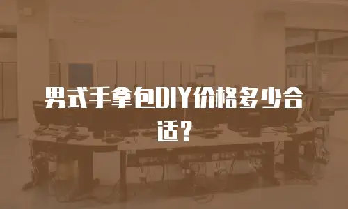 男式手拿包DIY价格多少合适？