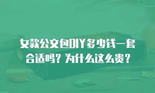 女款公文包DIY多少钱一套合适吗？为什么这么贵？