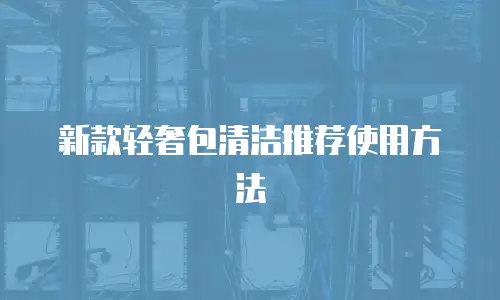 新款轻奢包清洁推荐使用方法