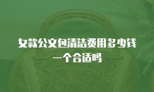 女款公文包清洁费用多少钱一个合适吗