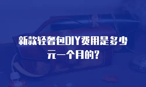 新款轻奢包DIY费用是多少元一个月的？