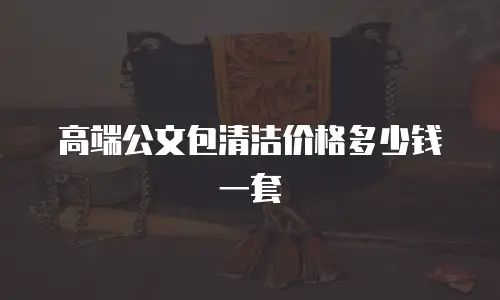 高端公文包清洁价格多少钱一套