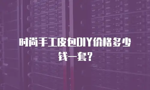 时尚手工皮包DIY价格多少钱一套？