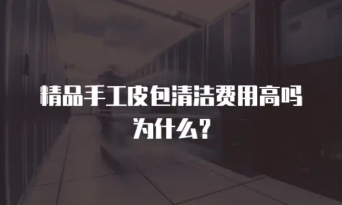 精品手工皮包清洁费用高吗为什么？