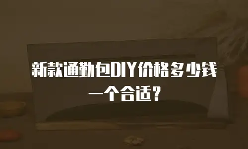 新款通勤包DIY价格多少钱一个合适？