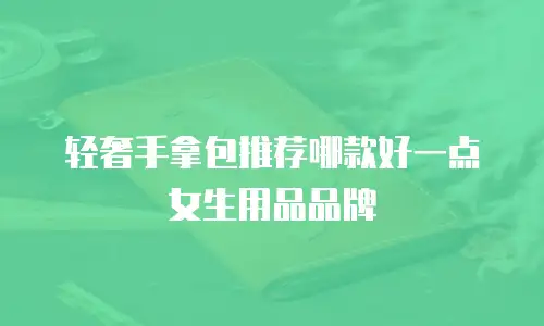 轻奢手拿包推荐哪款好一点女生用品品牌
