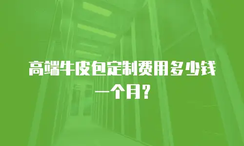 高端牛皮包定制费用多少钱一个月？
