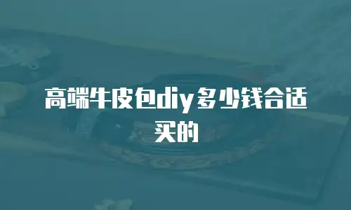 高端牛皮包diy多少钱合适买的