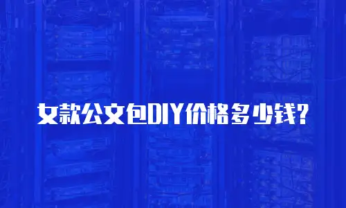 女款公文包DIY价格多少钱？