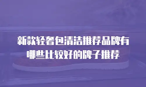 新款轻奢包清洁推荐品牌有哪些比较好的牌子推荐
