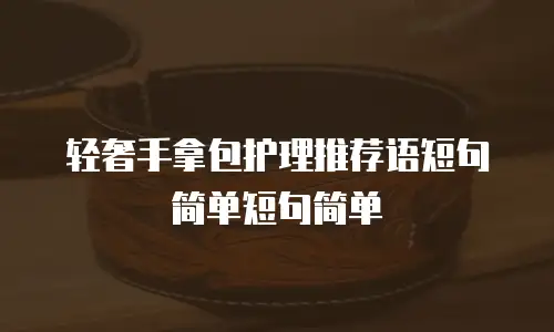 轻奢手拿包护理推荐语短句简单短句简单