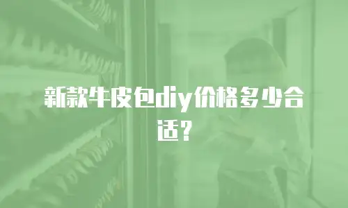 新款牛皮包diy价格多少合适？