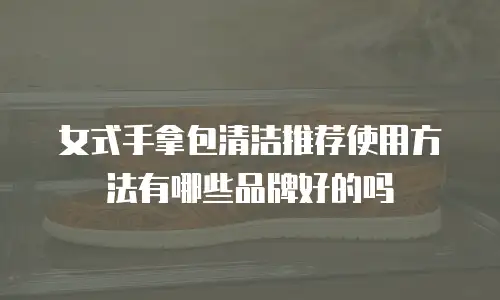 女式手拿包清洁推荐使用方法有哪些品牌好的吗