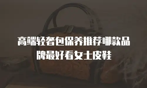高端轻奢包保养推荐哪款品牌最好看女士皮鞋