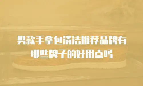男款手拿包清洁推荐品牌有哪些牌子的好用点吗