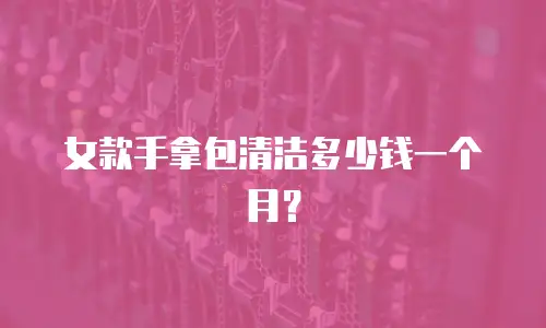 女款手拿包清洁多少钱一个月？