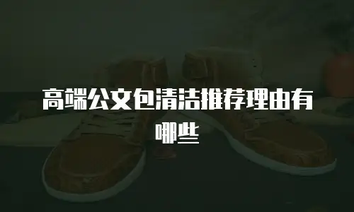高端公文包清洁推荐理由有哪些