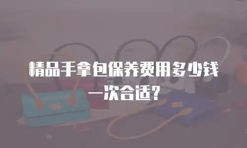 精品手拿包保养费用多少钱一次合适？