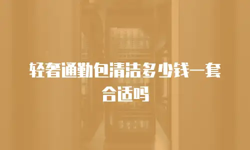 轻奢通勤包清洁多少钱一套合适吗
