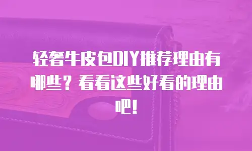 轻奢牛皮包DIY推荐理由有哪些？看看这些好看的理由吧！