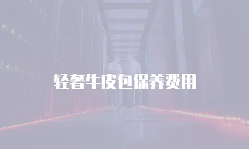 轻奢牛皮包保养费用