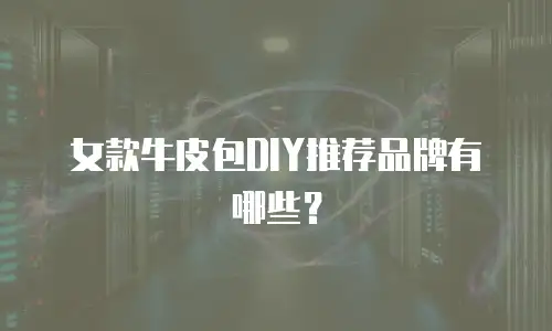 女款牛皮包DIY推荐品牌有哪些？