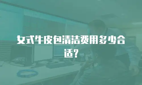 女式牛皮包清洁费用多少合适？