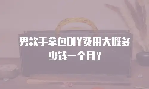 男款手拿包DIY费用大概多少钱一个月？