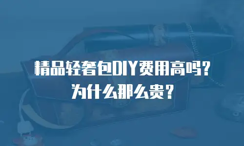 精品轻奢包DIY费用高吗？为什么那么贵？