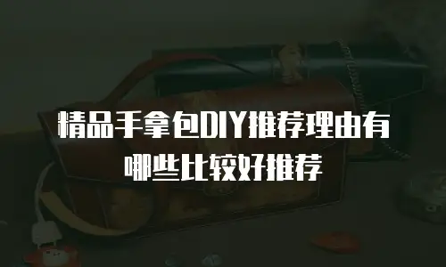 精品手拿包DIY推荐理由有哪些比较好推荐