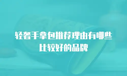 轻奢手拿包推荐理由有哪些比较好的品牌
