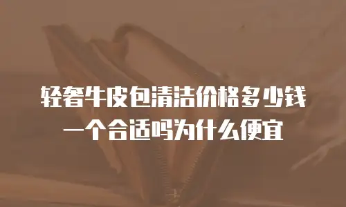 轻奢牛皮包清洁价格多少钱一个合适吗为什么便宜