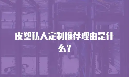 皮塑私人定制推荐理由是什么？