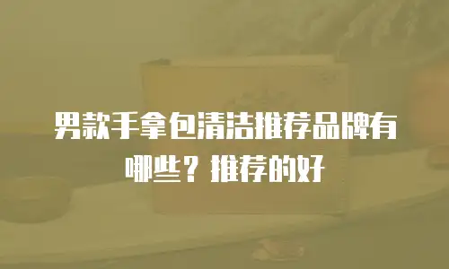 男款手拿包清洁推荐品牌有哪些？推荐的好
