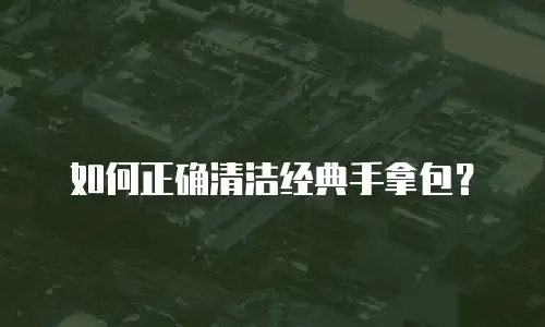 如何正确清洁经典手拿包？