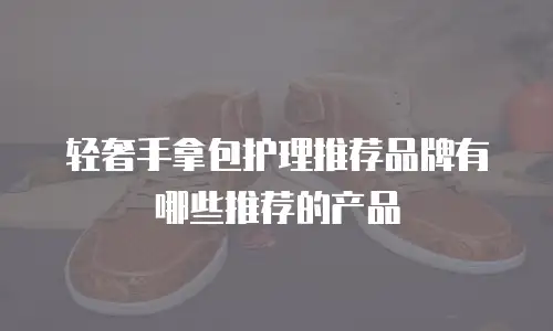 轻奢手拿包护理推荐品牌有哪些推荐的产品