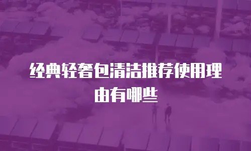 经典轻奢包清洁推荐使用理由有哪些