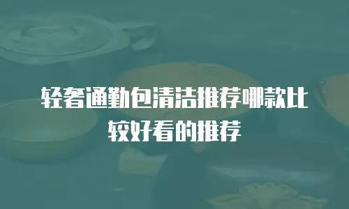 轻奢通勤包清洁推荐哪款比较好看的推荐