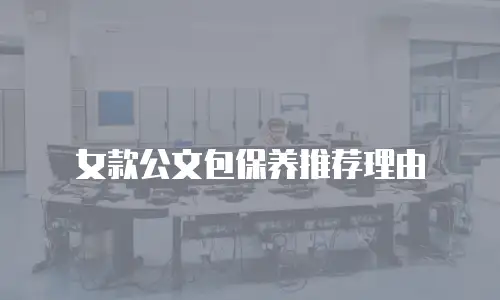 女款公文包保养推荐理由