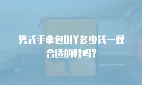 男式手拿包DIY多少钱一双合适的鞋吗？