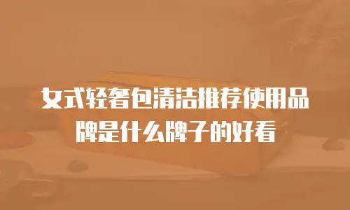 女式轻奢包清洁推荐使用品牌是什么牌子的好看