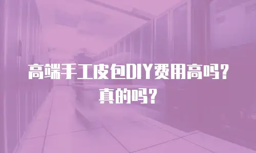 高端手工皮包DIY费用高吗？真的吗？