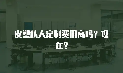 皮塑私人定制费用高吗？现在？