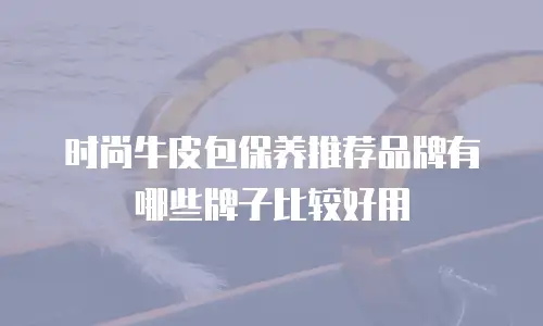 时尚牛皮包保养推荐品牌有哪些牌子比较好用