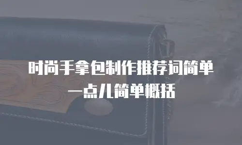 时尚手拿包制作推荐词简单一点儿简单概括