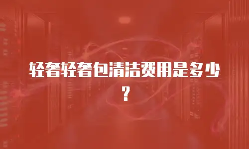 轻奢轻奢包清洁费用是多少？